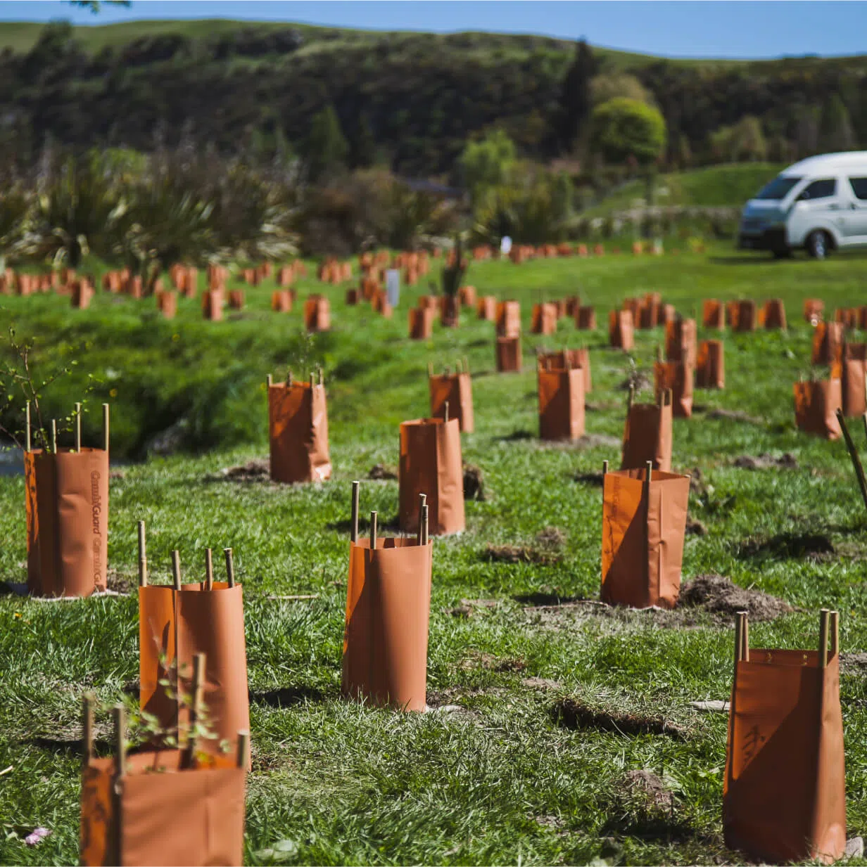 Environmental Restoration and Pest Control Services Queenstown Mana